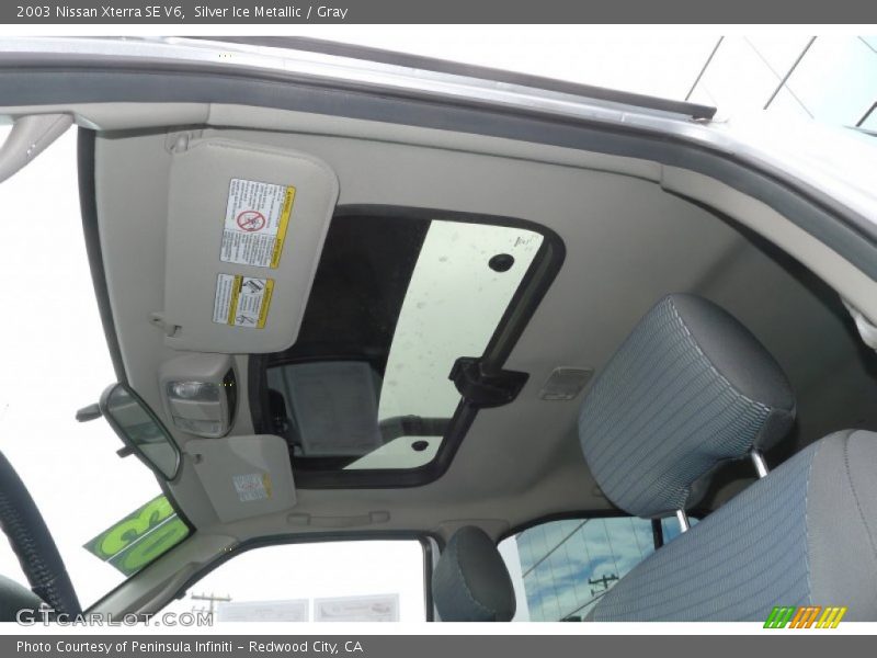 Silver Ice Metallic / Gray 2003 Nissan Xterra SE V6