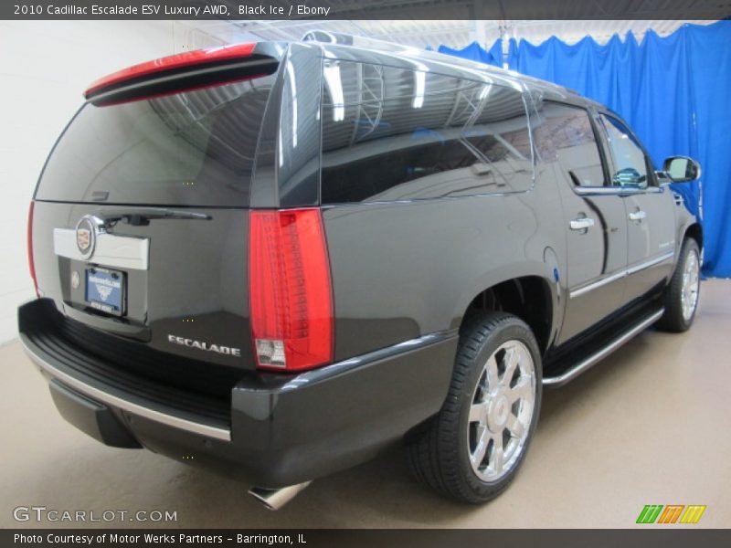 Black Ice / Ebony 2010 Cadillac Escalade ESV Luxury AWD