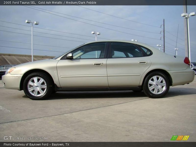 Gold Ash Metallic / Medium/Dark Pebble 2005 Ford Taurus SEL