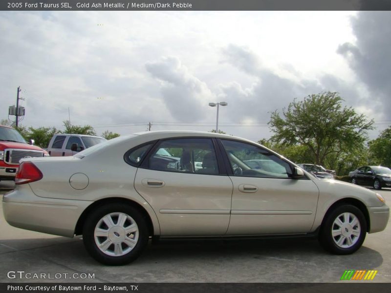 Gold Ash Metallic / Medium/Dark Pebble 2005 Ford Taurus SEL