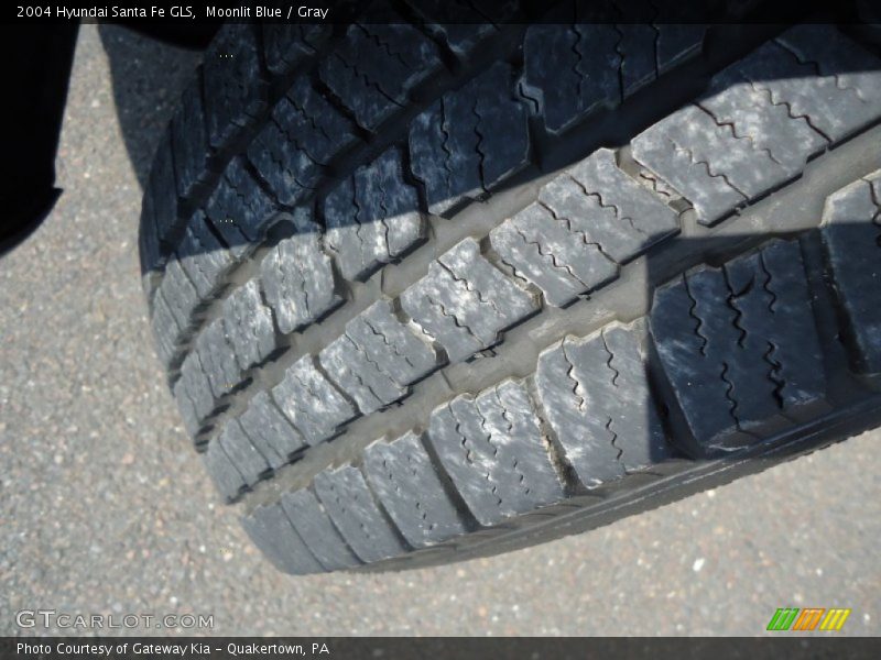 Moonlit Blue / Gray 2004 Hyundai Santa Fe GLS