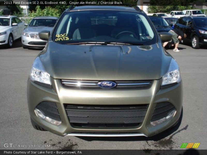 Ginger Ale Metallic / Charcoal Black 2013 Ford Escape SE 2.0L EcoBoost 4WD