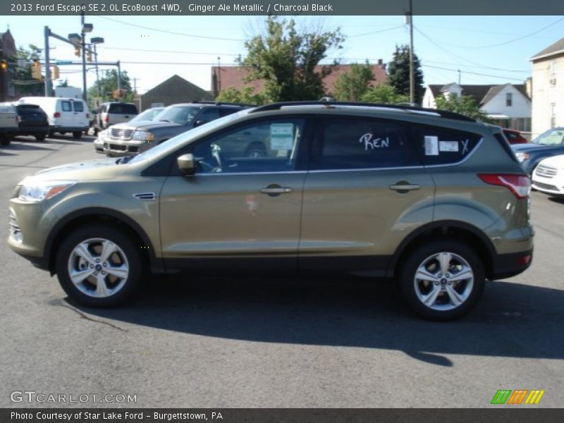 Ginger Ale Metallic / Charcoal Black 2013 Ford Escape SE 2.0L EcoBoost 4WD