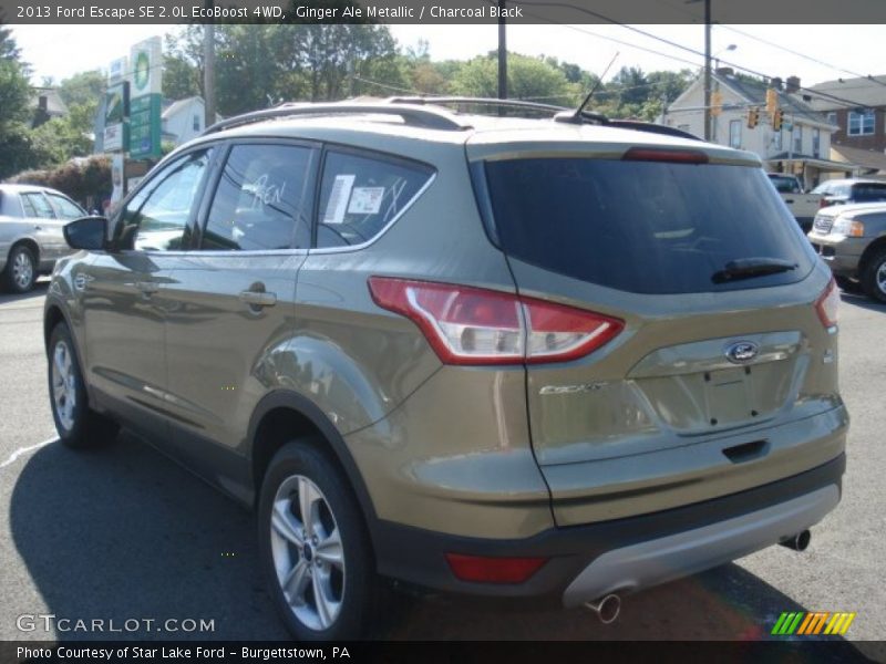 Ginger Ale Metallic / Charcoal Black 2013 Ford Escape SE 2.0L EcoBoost 4WD