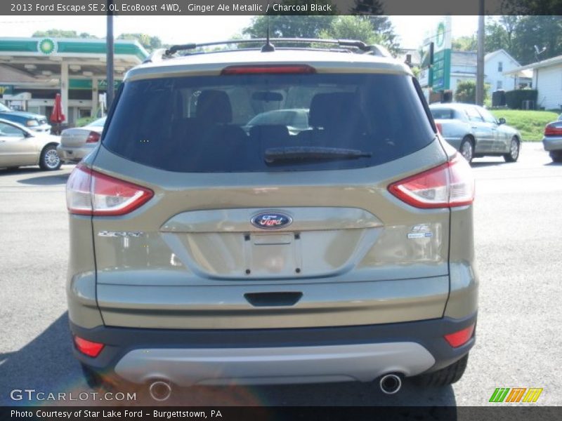 Ginger Ale Metallic / Charcoal Black 2013 Ford Escape SE 2.0L EcoBoost 4WD