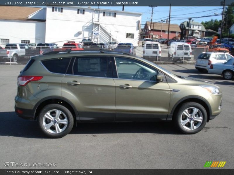  2013 Escape SE 2.0L EcoBoost 4WD Ginger Ale Metallic