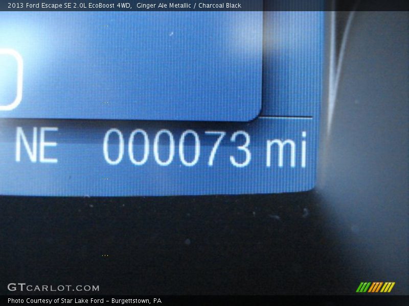 Ginger Ale Metallic / Charcoal Black 2013 Ford Escape SE 2.0L EcoBoost 4WD
