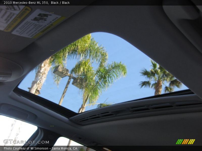 Black / Black 2010 Mercedes-Benz ML 350