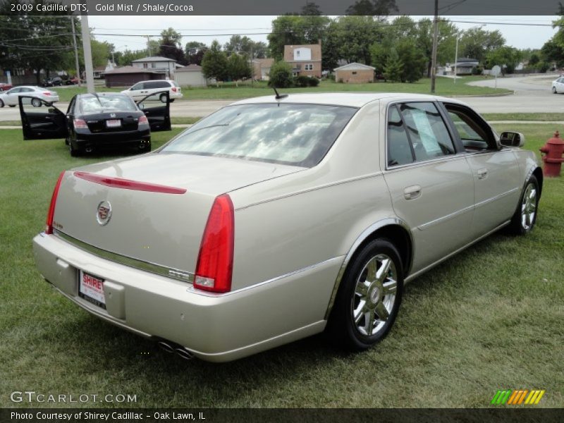 Gold Mist / Shale/Cocoa 2009 Cadillac DTS