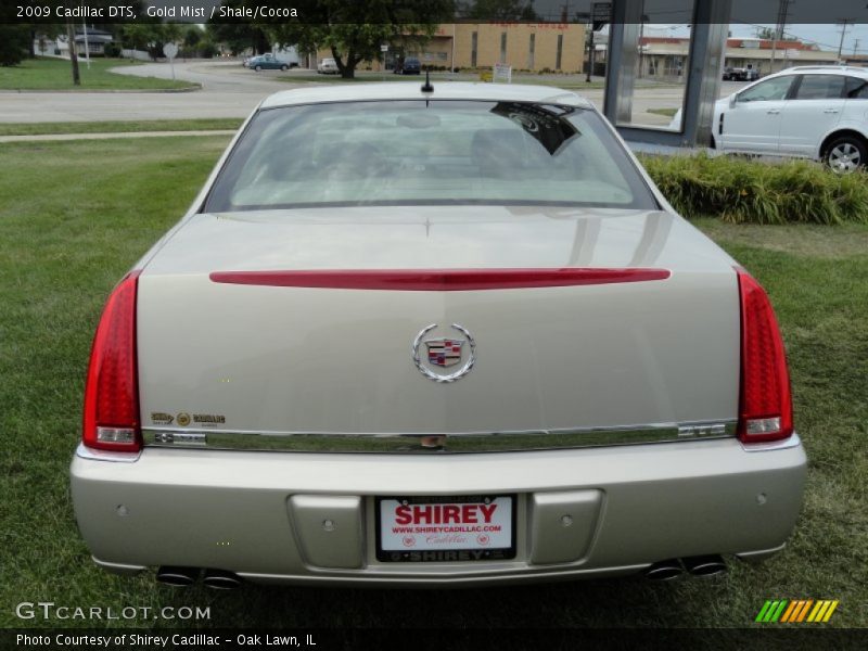 Gold Mist / Shale/Cocoa 2009 Cadillac DTS