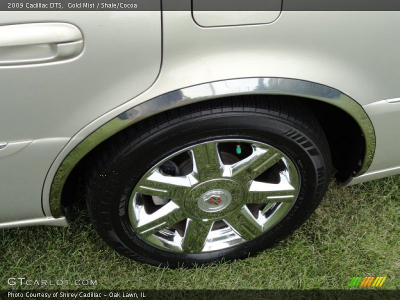 Gold Mist / Shale/Cocoa 2009 Cadillac DTS