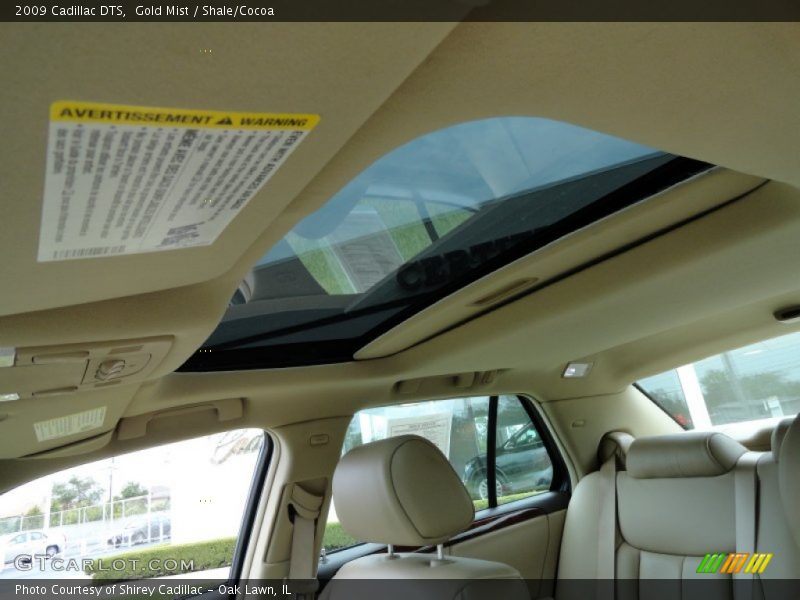 Gold Mist / Shale/Cocoa 2009 Cadillac DTS