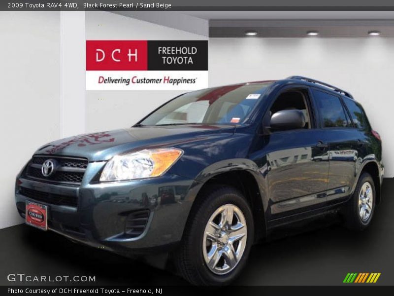 Black Forest Pearl / Sand Beige 2009 Toyota RAV4 4WD