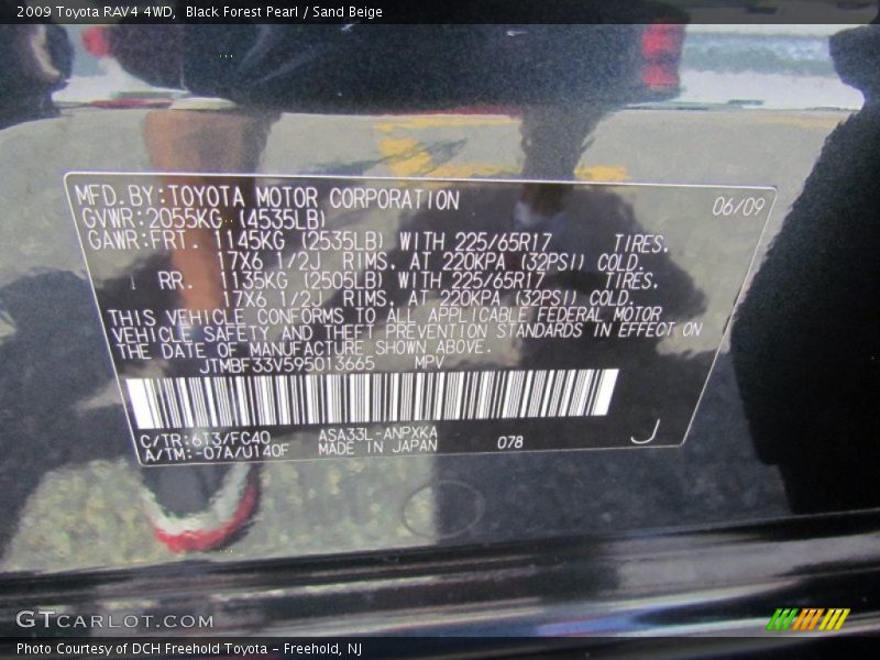 Black Forest Pearl / Sand Beige 2009 Toyota RAV4 4WD