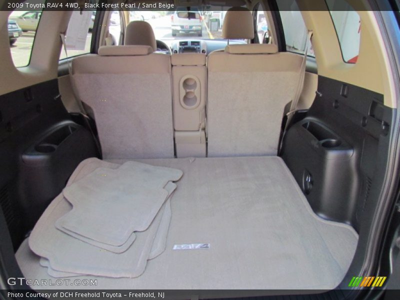 Black Forest Pearl / Sand Beige 2009 Toyota RAV4 4WD