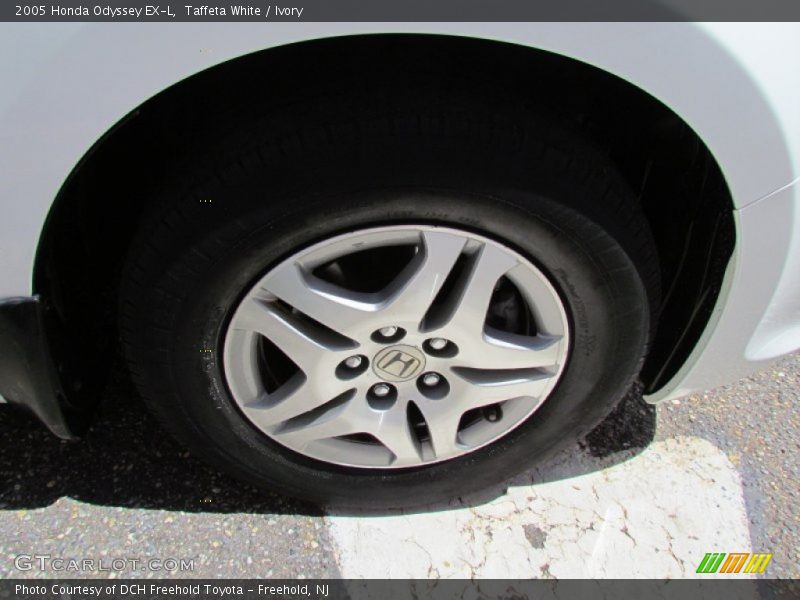 Taffeta White / Ivory 2005 Honda Odyssey EX-L