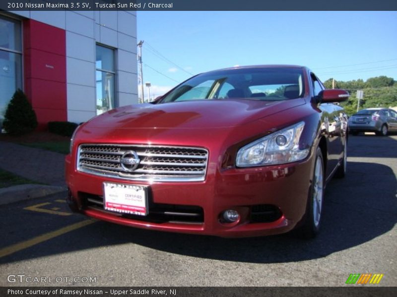 Tuscan Sun Red / Charcoal 2010 Nissan Maxima 3.5 SV