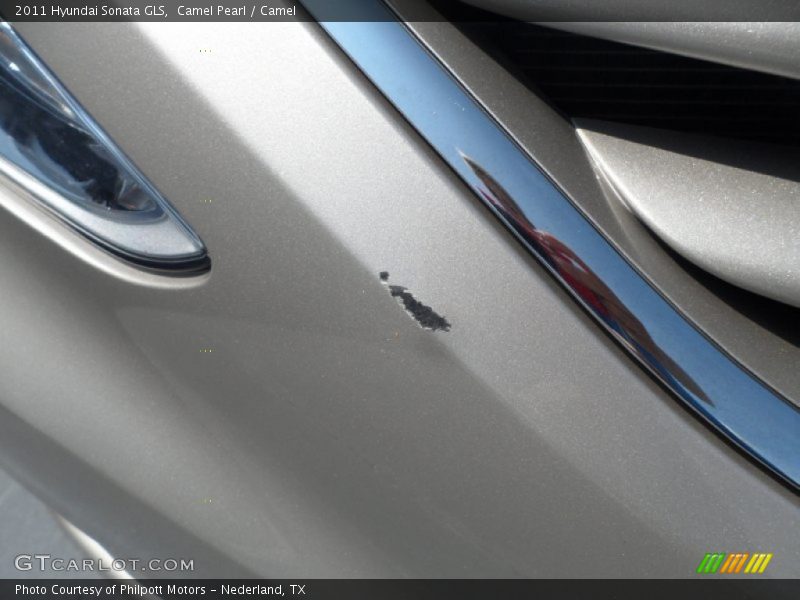 Camel Pearl / Camel 2011 Hyundai Sonata GLS