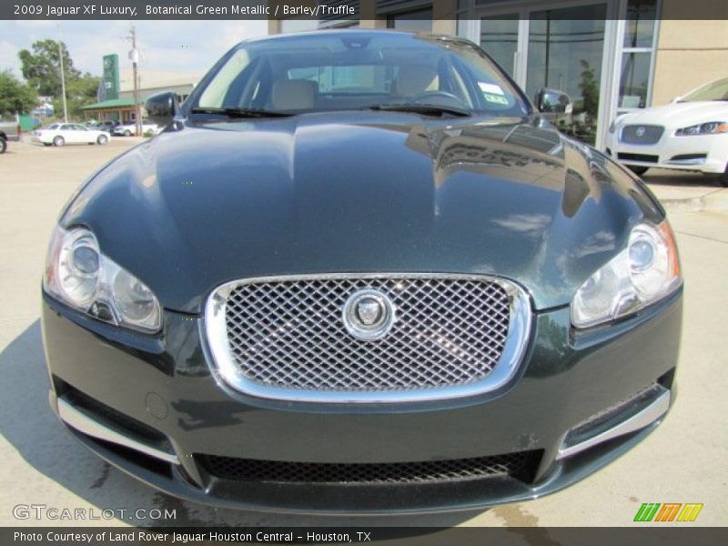 Botanical Green Metallic / Barley/Truffle 2009 Jaguar XF Luxury