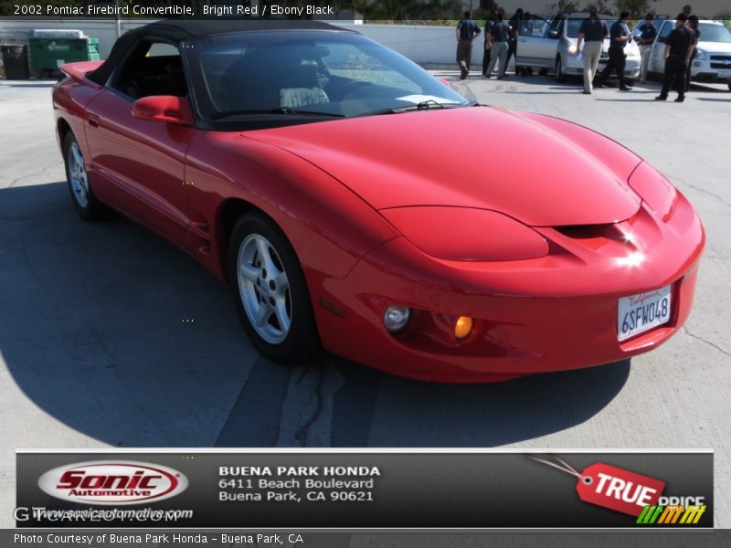 Bright Red / Ebony Black 2002 Pontiac Firebird Convertible