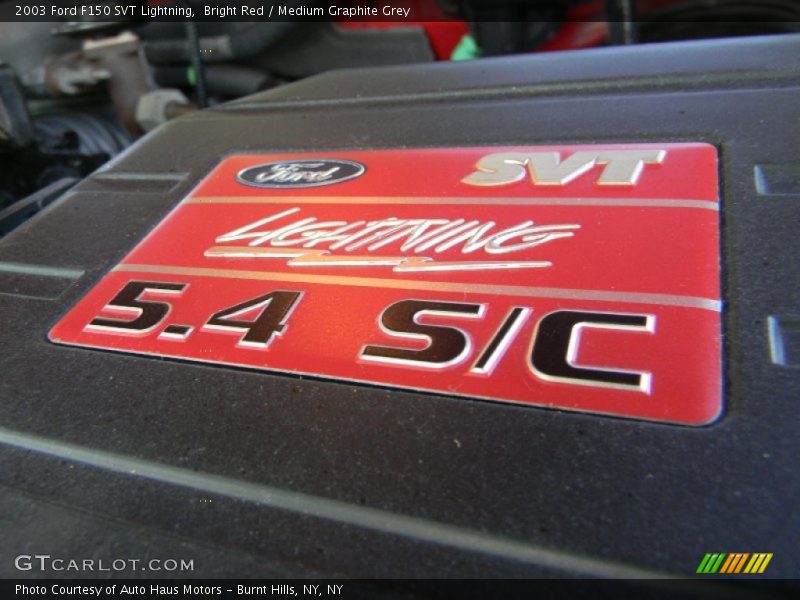  2003 F150 SVT Lightning Logo