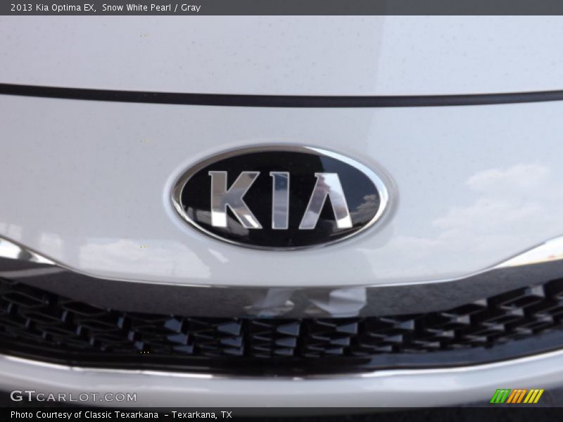 Snow White Pearl / Gray 2013 Kia Optima EX