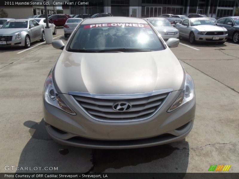 Camel Pearl / Camel 2011 Hyundai Sonata GLS
