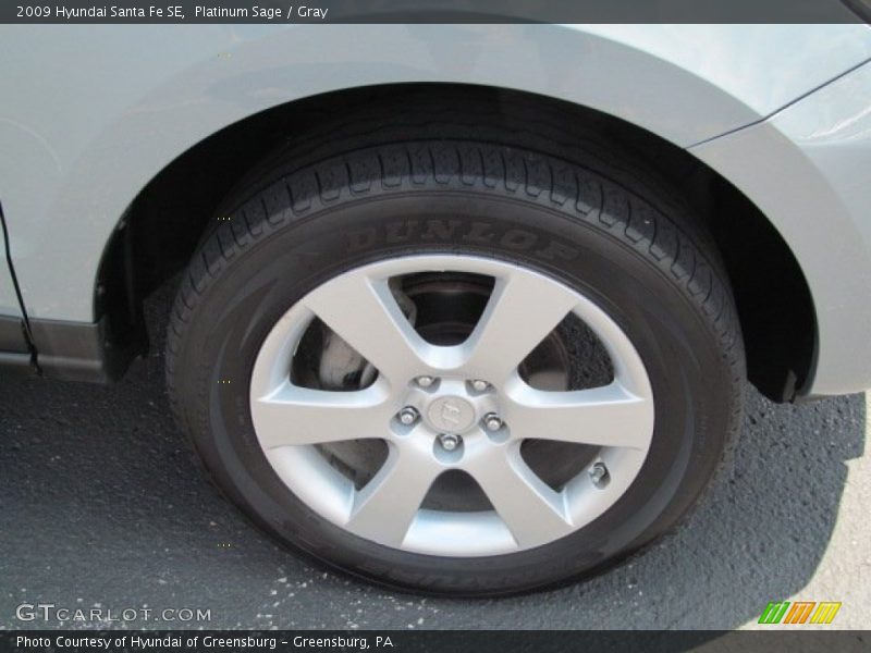 Platinum Sage / Gray 2009 Hyundai Santa Fe SE