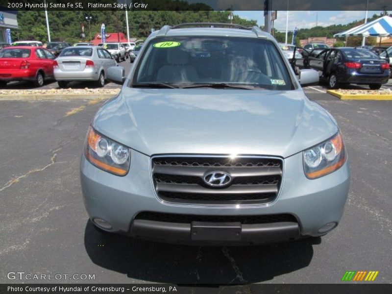 Platinum Sage / Gray 2009 Hyundai Santa Fe SE