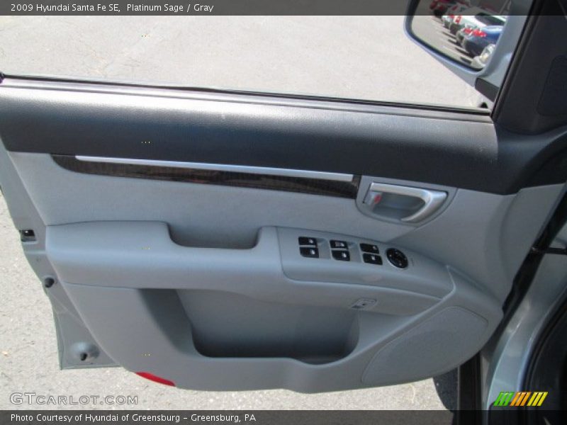 Platinum Sage / Gray 2009 Hyundai Santa Fe SE