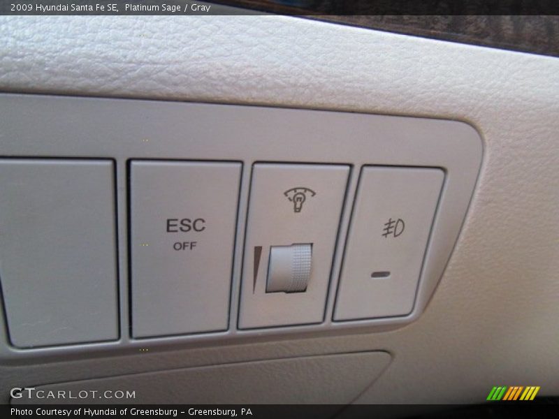 Platinum Sage / Gray 2009 Hyundai Santa Fe SE