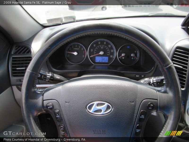 Platinum Sage / Gray 2009 Hyundai Santa Fe SE
