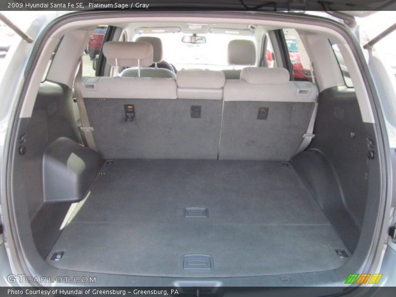 Platinum Sage / Gray 2009 Hyundai Santa Fe SE