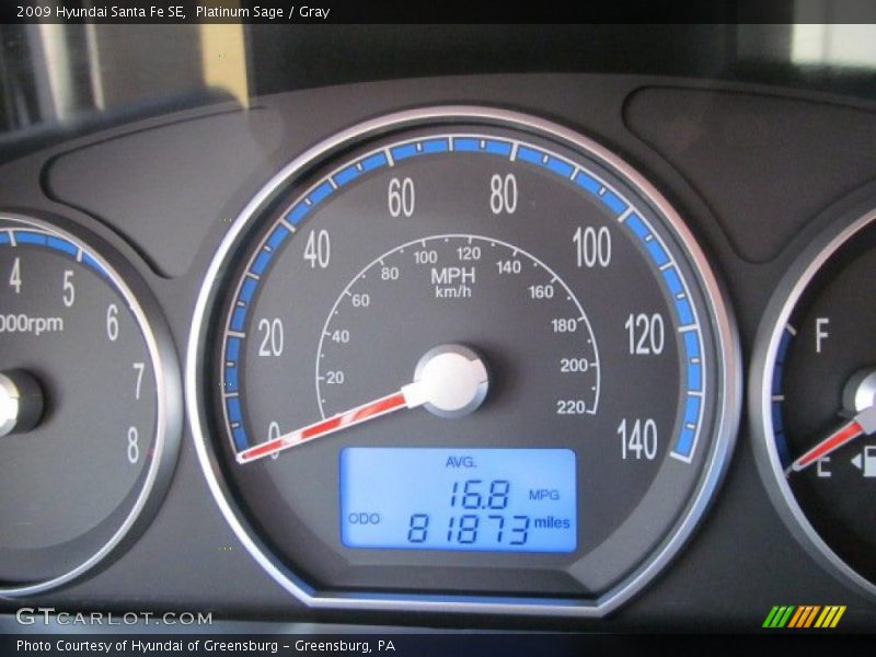 Platinum Sage / Gray 2009 Hyundai Santa Fe SE
