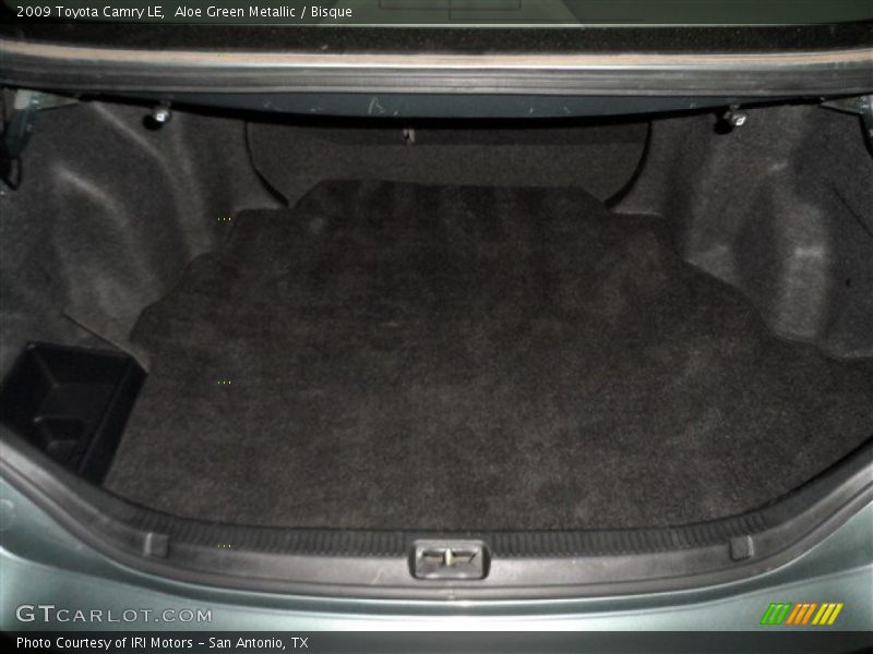 Aloe Green Metallic / Bisque 2009 Toyota Camry LE