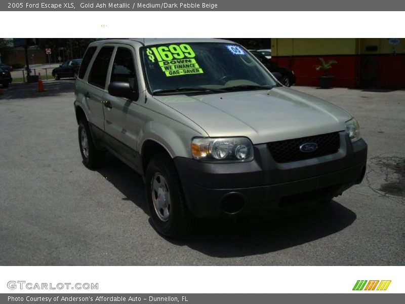 Gold Ash Metallic / Medium/Dark Pebble Beige 2005 Ford Escape XLS