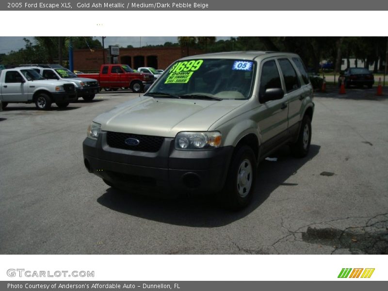 Gold Ash Metallic / Medium/Dark Pebble Beige 2005 Ford Escape XLS