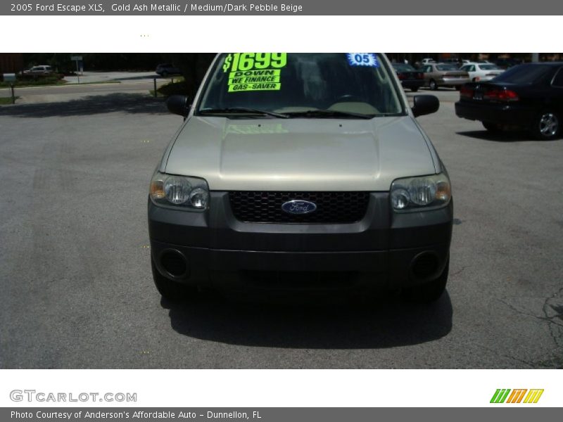Gold Ash Metallic / Medium/Dark Pebble Beige 2005 Ford Escape XLS