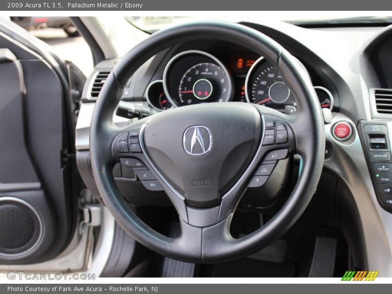 Palladium Metallic / Ebony 2009 Acura TL 3.5