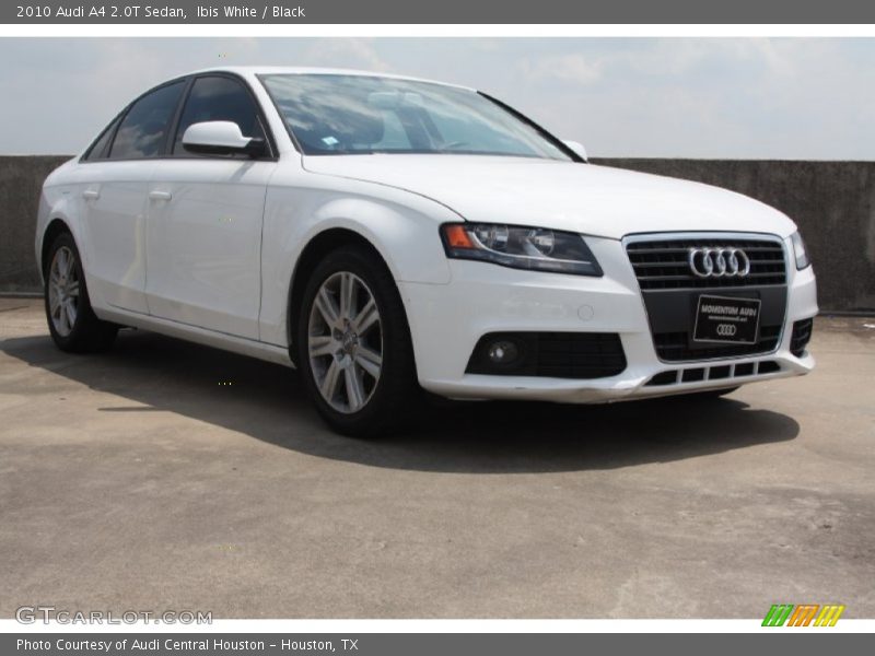 Ibis White / Black 2010 Audi A4 2.0T Sedan