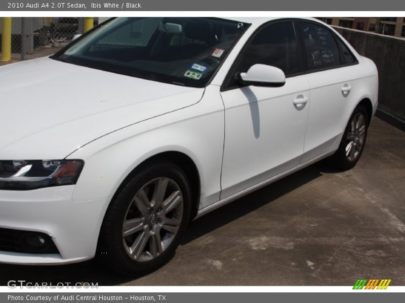 Ibis White / Black 2010 Audi A4 2.0T Sedan