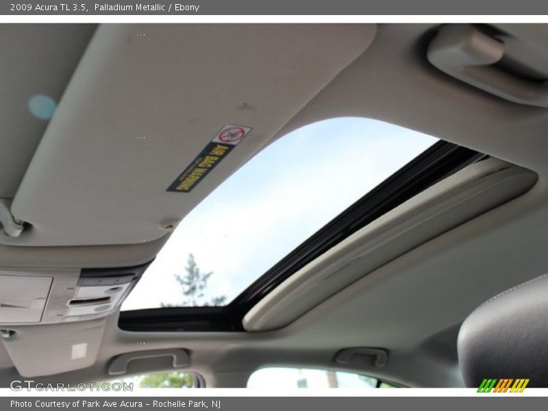 Palladium Metallic / Ebony 2009 Acura TL 3.5