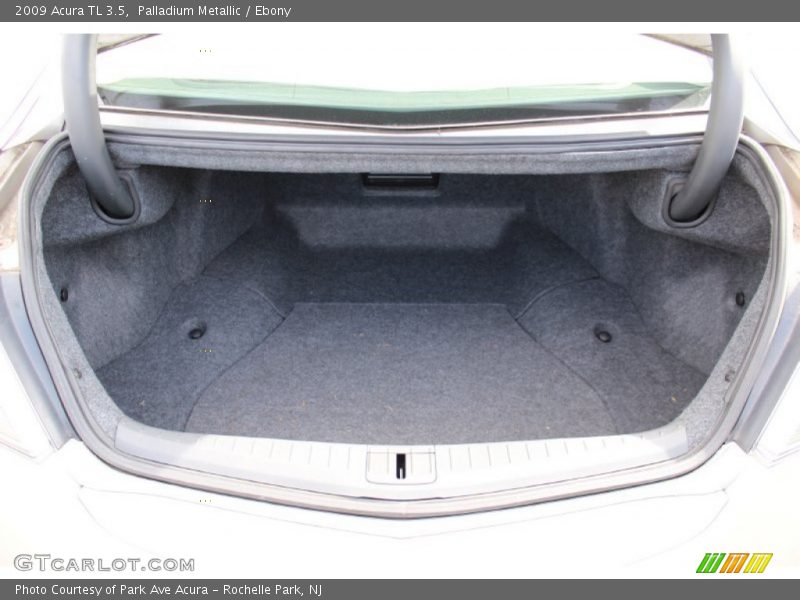 Palladium Metallic / Ebony 2009 Acura TL 3.5