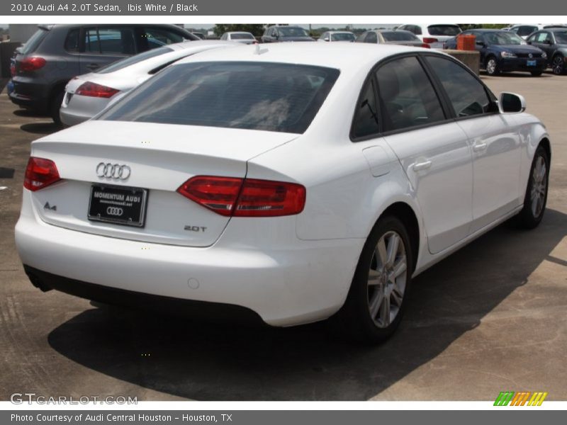 Ibis White / Black 2010 Audi A4 2.0T Sedan