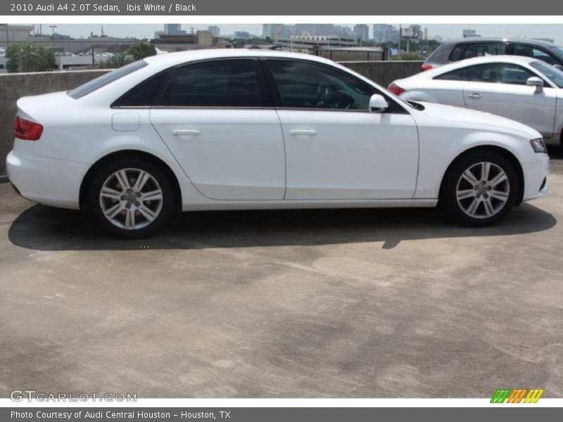 Ibis White / Black 2010 Audi A4 2.0T Sedan