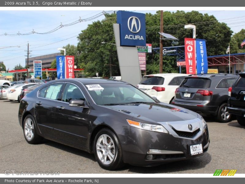 Grigio Gray Metallic / Ebony 2009 Acura TL 3.5