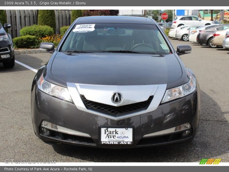Grigio Gray Metallic / Ebony 2009 Acura TL 3.5