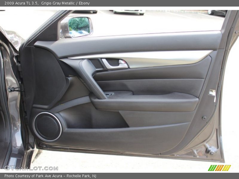 Door Panel of 2009 TL 3.5