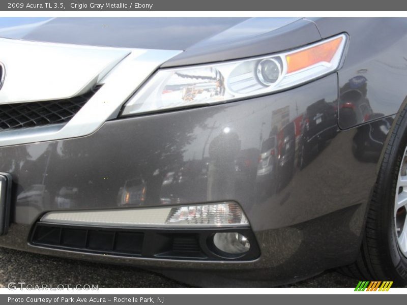 Grigio Gray Metallic / Ebony 2009 Acura TL 3.5