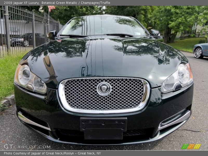  2009 XF Luxury Botanical Green Metallic